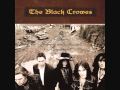 The Black Crowes - Words You Throw Away