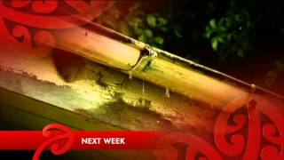 Next week on Marae Investigates on air 29 April 2012 TVNZ