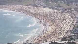 Shark scares swimmers out of water on Bondi Beach in Australia