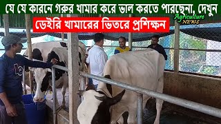 যে যে কারনে মুরাদনগরের শাহদাত গরুর খামার করে ভাল করতে পারছেনা, দেখুন | Dr. Mehedi | Agriculture news