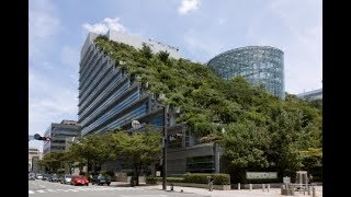 (W2S) 듣고, 읽고, 쓰고, 말하는 영어 - 027 - Green Roofs Benefit People, Environment