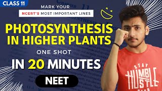 Photosynthesis in Higher Plants Class 11 | Biology | For NEET | Full Revision In 20 Minutes