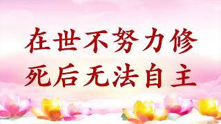 卢台长【节目录音+字幕】在世不努力修，死后无法自主