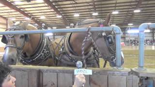 The Real Stars of the Topsfield Fair