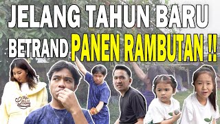 BETRAND PANEN RAMBUTAN‼️ PETIK DI VILLA SENDIRI‼️ | THE ONSU FAMILY