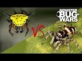 Spider vs Spider Showdowns #6-8 | MONSTER BUG WARS