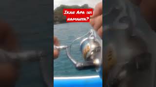 Entah Ikan Apa ini #fishing #mancingmania #fish #viral #shorts #status #unik #mancing