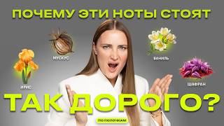 Самые дорогие ноты в парфюмерии | ПО ПОЛОЧКАМ