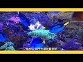 水族新鮮事 開缸搭配產品篇