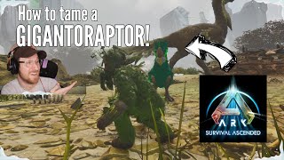 How to tame the Gigantoraptor in ARK: Survival Ascended