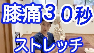 膝の痛み　３０秒ストレッチ【変形性膝関節症,膝痛,リハビリ】