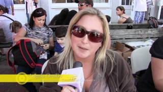 Newburyport's Harvest Festival