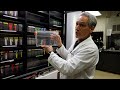 Parkinson's Research: The Jeff Bronstein Lab