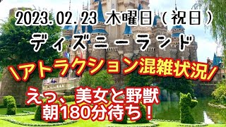 2023.02.23（木）祝日　ディズニーランド　アトラクション混雑状況　えっ！？美女と野獣が朝１８０分待ち！？　【気ままに大人ディズニー】