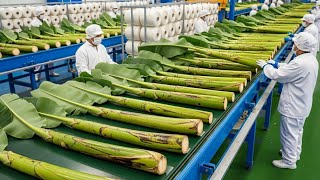 Inside the World's Most Advanced Banana Stem Factory: Revolutionizing Global Industry