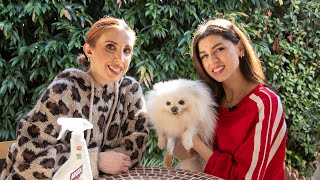 ilovestyle.com x Aroxol Pet Episode 8: Κλέλια Γιασεμίδου