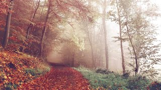 Songs for Autumn- Indie/Folk Playlist, 2022