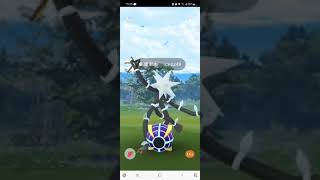 《小草日常》【Pokemon Go 精靈寶可夢】『電束木』❤️首次開放，人品大爆發，IV100究極異獸，帥度破錶，電系霸主，順利入手畢業🎓ヾ(*´∇`)ﾉ