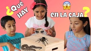 ¿QUÉ HAY EN LA CAJA? / WHAT'S IN THE BOX CHALLENGE ♥️ - Gibby