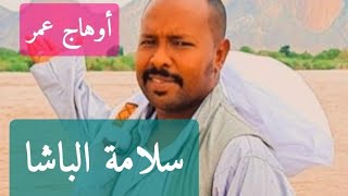 المبدع اوهاج عمر Ohag Omer || سلامة الباشا ( شتم )