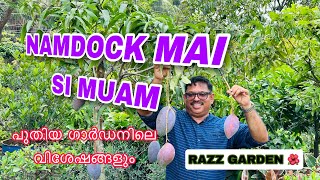 NAMDOCK MAI SI MUAM പുതിയ ഗാർഡനിലെ വിശേഷങ്ങളും