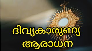 Aradana / ആരാധന / ദിവ്യകാരുണ്യ ആരാധന /Adoration / Fr Jinu Pallipatt