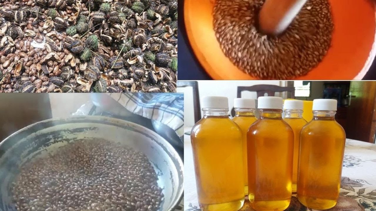 How To Make Castor Oil At Home - YouTube