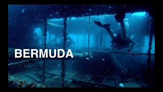 Diving Bermuda — September 2022 (4K)