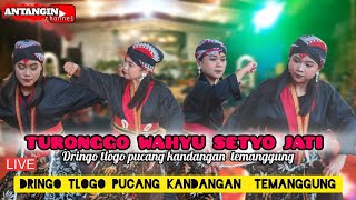 warok CANTIK TURONGGO WAHYU SETYO JATI live dlingo tlogopucang kandangan temanggung