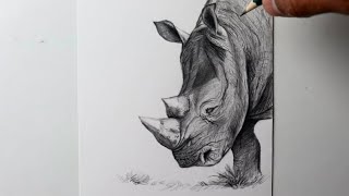 Como desenhar um Rinoceronte