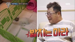 살림하는 남자들2 - 일섭오빠, 복덩이 제니의 집사 되다!.20170301