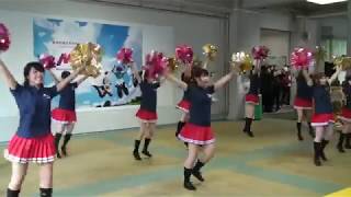 武蔵野大学フラッグバトン部　摩耶祭2017　アーケード公演