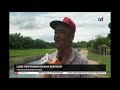 n12 –lebih 100 pesawah dakwa kerugian – tanaman padi ditenggelami air 30 okt 2019