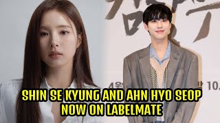 Shin Se Kyung Becomes Labelmates With Ahn Hyo Seop