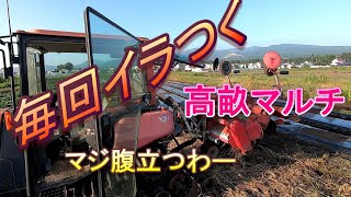 高畝マルチ・サイズ違いをいろいろやりすぎてドツボにはまっちゃいました