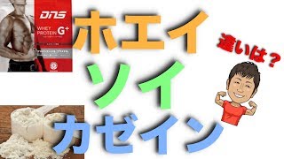 【プロテイン】ホエイ・ソイ・カゼインの違いと特徴・それぞれおすすめの人と飲むタイミングについて解説