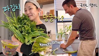 Summer is here☀️ Making scallion kimchi with my hubby + will it be enough kimchi for us...? 😆