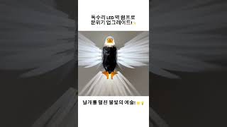 작지만 큰 존재감을 드러내는 독수리 벽램프