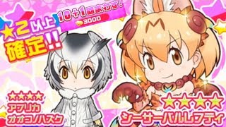 初心者11回【けものフレンズ FESTIVAL】