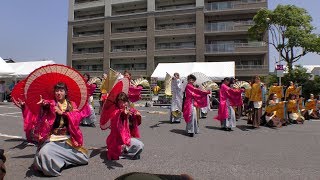 「 鈴海龍 」すずフェス2018 8/4(土)【白子サンズ会場】