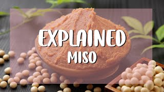 Explained  All About Miso  What Is Miso  How Is Miso Made  How To Choice The Right Miso For You