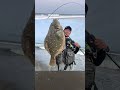 【大物ヒット⁈】釣れた魚の正体は⁇ フラットフィッシュ 釣り 海釣り fishing 県南サーフ 宮城釣り 仙南サーフ サーフ釣り