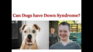 Symptoms of Down Syndrome in Dogs & Puppies