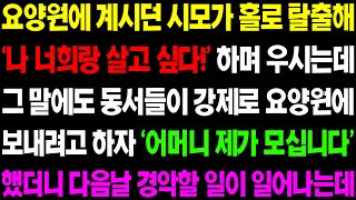 (실화사연) 요양원에 계시던 시모가 홀로 탈출해 '나 너희랑 살고 싶다' 하며 우시는데 그 말에도 동서들이 강제로 요양원에 보내려고 하자../ 사이다 사연,  감동사연, 톡톡사연