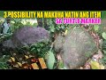 3 KAHULUGAN NG TURTLE SHAPE ROCK