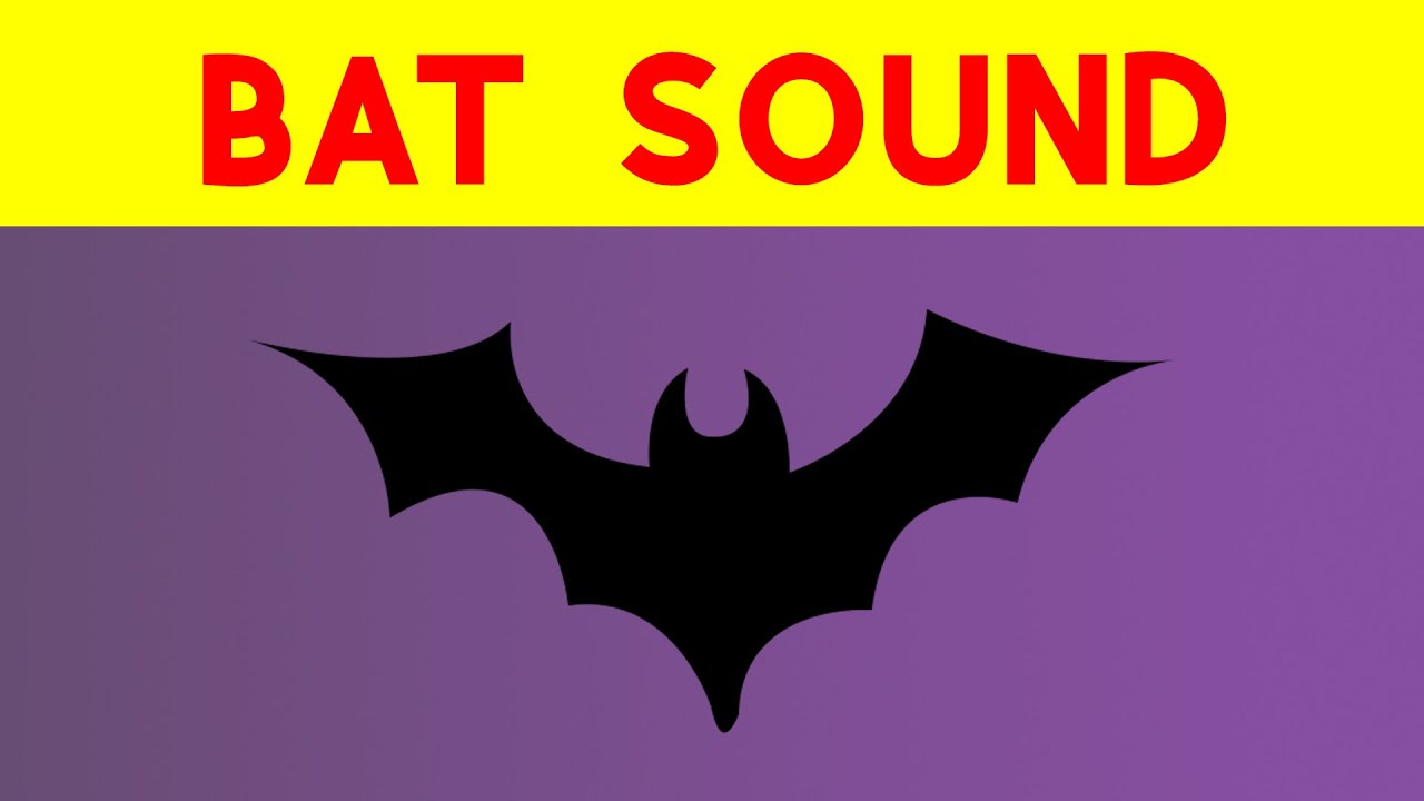 Bat Noise ~ Bat Sound At Night ~ Bats Sound Effect In High Quality ...