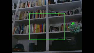 Optical flow Active Tracking OpenCV