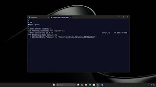 Windows Developer Configurations