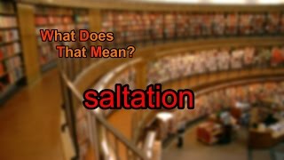 What does saltation mean?