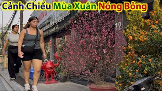 Cảnh Chiều Giá Buốt Hồ Trúc Bạch Tới Phố Chợ Đồng Xuân